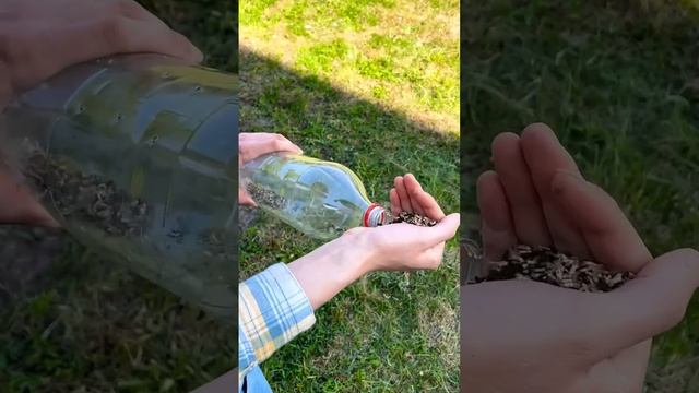 СДЕЛАЙ САМ: садовые лайфхаки