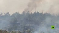 سوريا.. حرائق الغابات تلتهم جبل التركمان بريف اللاذقية