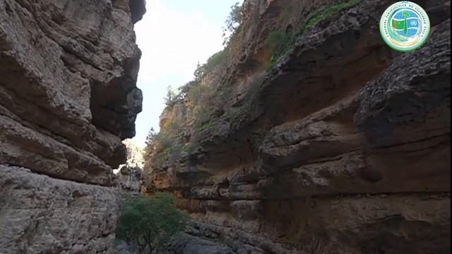 Койтендагский заповедник Туркменистана