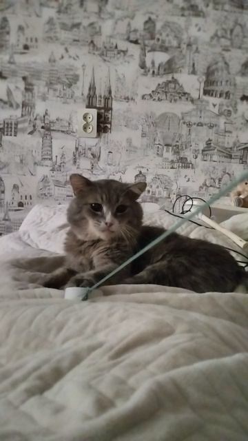 Играет.