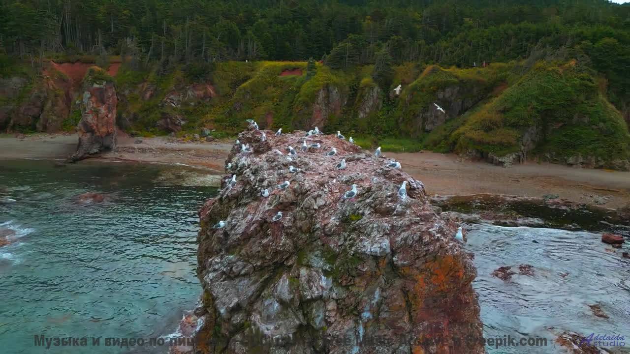 Звуки, повышающие IQ - слушайте каждый день! - Angel -- Golden Duck Orchestra -- Golden Duck Orchest
