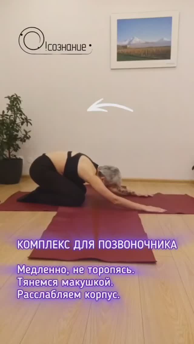 Здоровая спина: гибкий позвоночник #здороваяспина #йогаспб #позвоночник