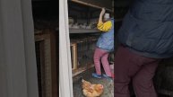 домашнее хозяйство