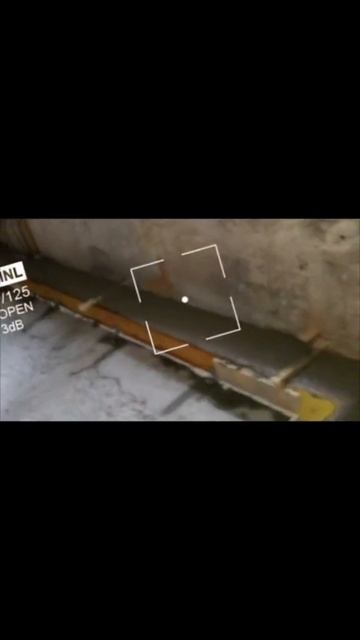 1000017603.mp4