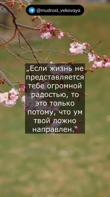 Цитаты русского писателя, Льва Николаевича Толстого.