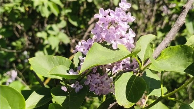 Керчь. Прогулка вдоль склона 12.05.25