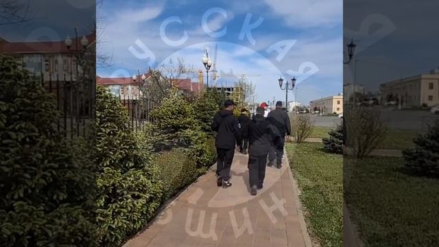 VID_20250501_170201_222.mp4