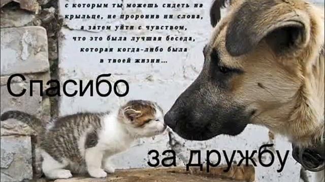 Большое спасибо!!!