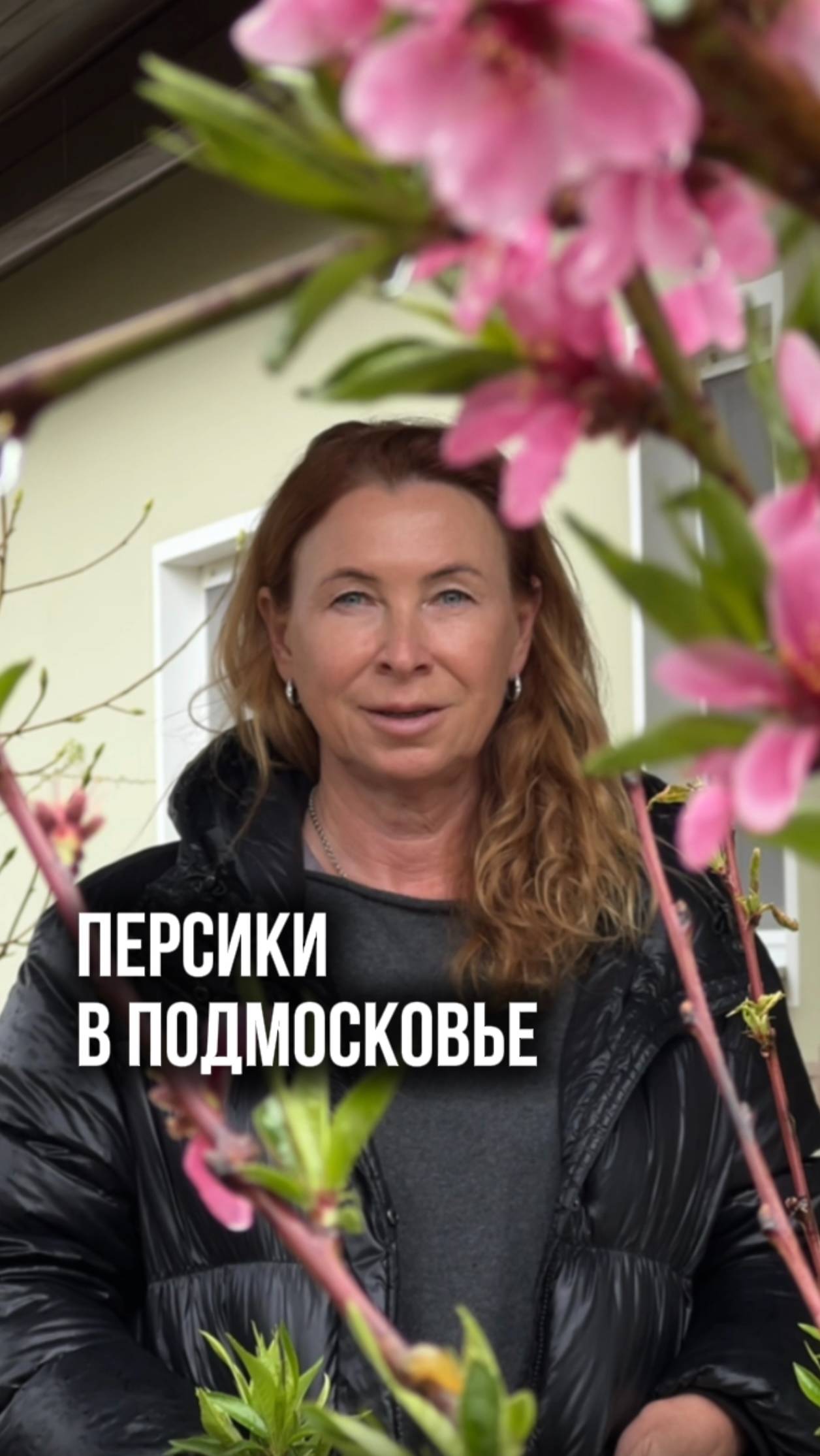 Судьба персиков в Подмосковье

А у вас был опыт с ними? И как? Делитесь в комментариях!