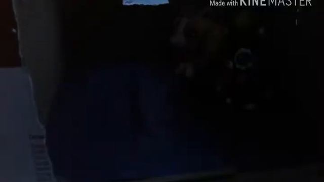 Фильм: Дом призраков!!!