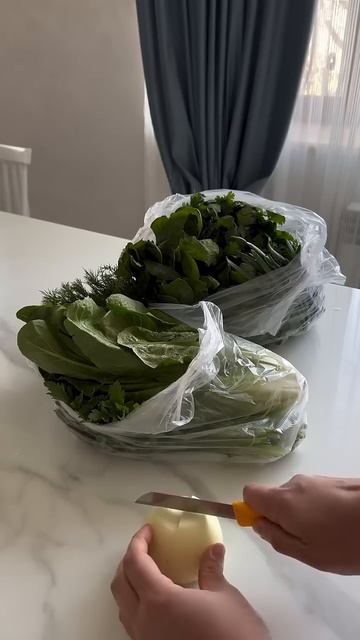 Показываю любимый способ как продлить жизнь ЗЕЛЕНИ в ?