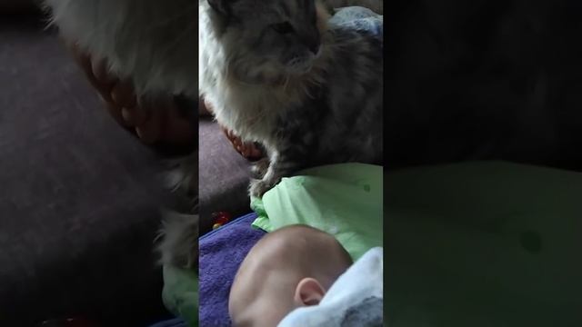 Мейн кун прикол