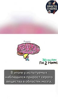 🎮 Правда или миф? Могут ли видеоигры реально развивать мозг?