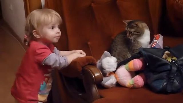 Кот котик испуг удивление ребенок малыш смешно весело прикол