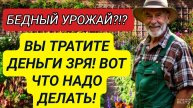 ЭТОТ ПРОДУКТ ИЗ ХОЛОДИЛЬНИКА УДОБРИТ ПОЧВУ ЛУЧШЕ ЛЮБОЙ ХИМИИ!