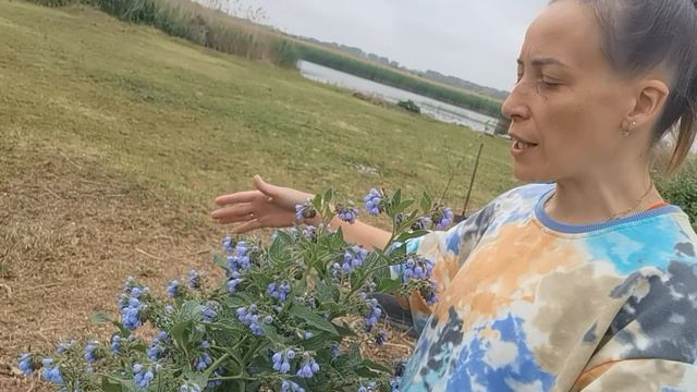 Новый сезон жизни в Краснодарском крае