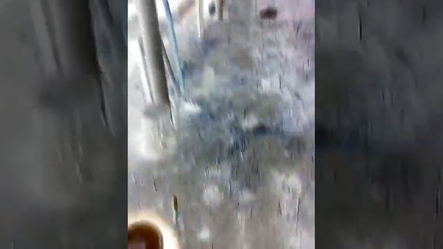 Инопланетный  друг