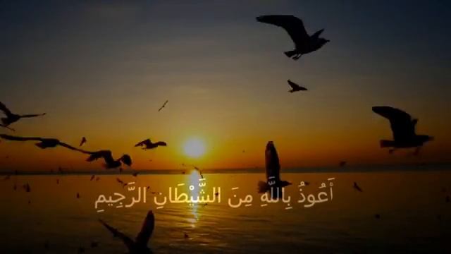 уже через 5 минут начнется белая полоса , случится чудо