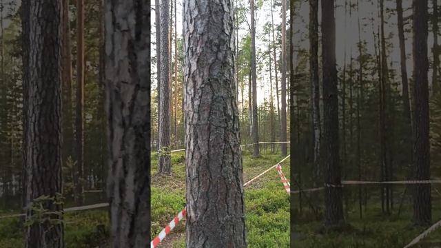 Пивная миля HARD "Beer Mile" TRAIL 1 июня 2024 в рамках HARD ADVENTURE SUMMER FEST.