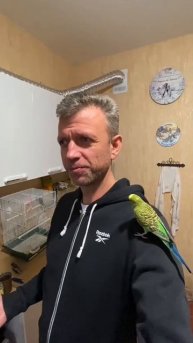 Прозевал еду