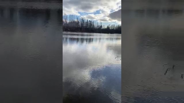 12-05-2025 # ВОДА ПОДНИМАЕТСЯ