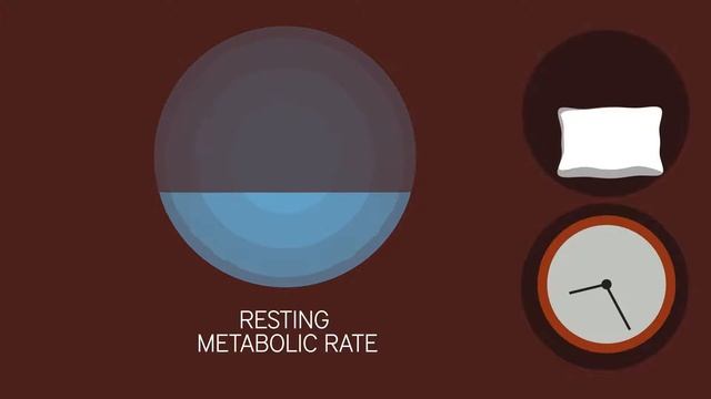 27 Facts With Hope - Too Little Sleep