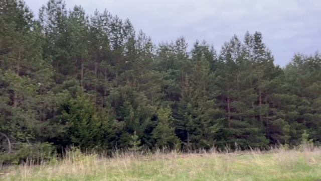 BioTeach Красота природы и ее звуки