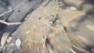 Оператор оптоволоконных FPV-дронов "КВН" методично превращает в дуршлаг 155-мм британскую САУ AS-90