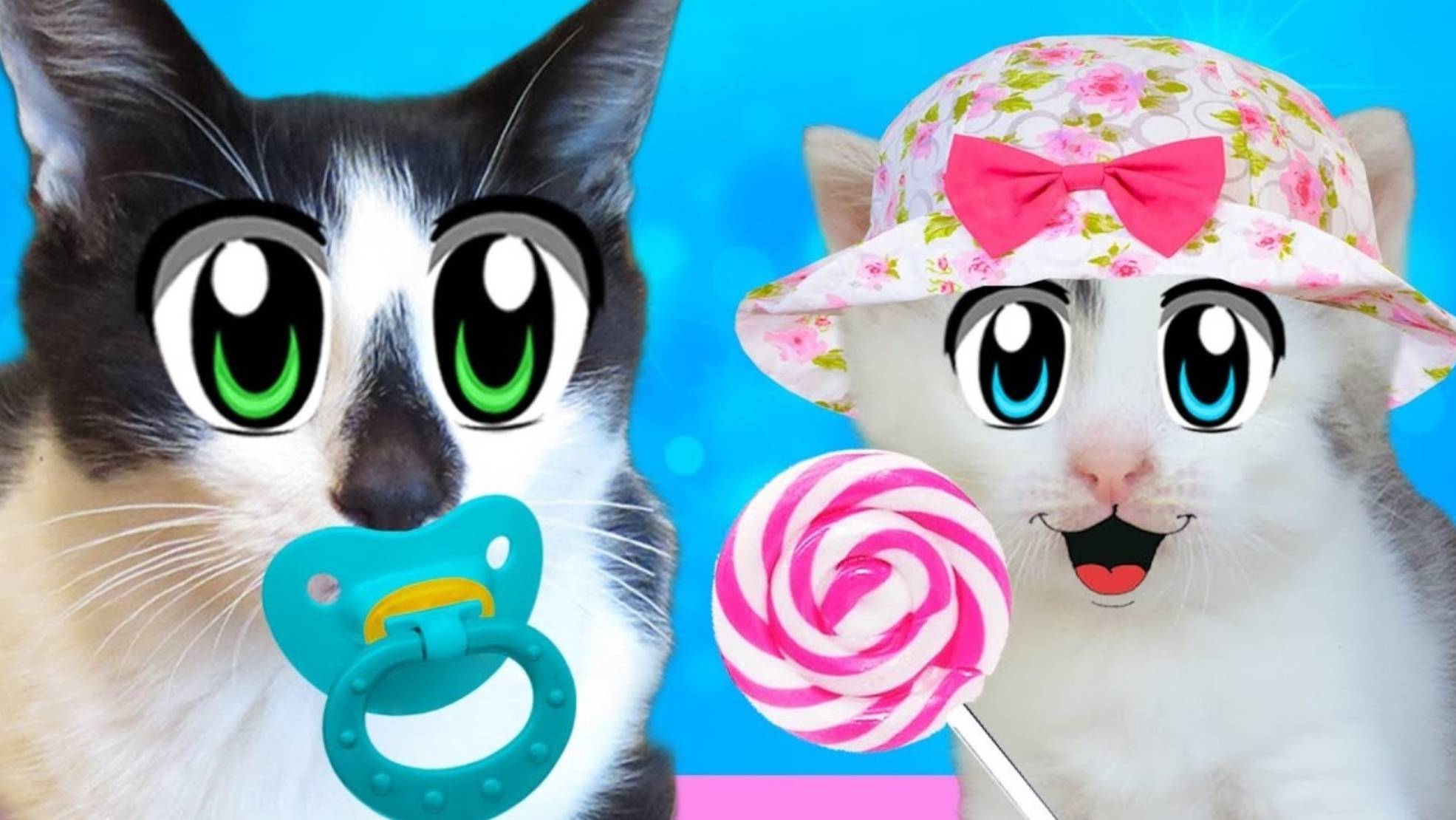 МАЛЕНЬКИЙ КОТ МАЛЫШ И КОШКА МУРКА! НОВОГОДНЯЯ ИСТОРИЯ А НУ КА ДАВАЙ КА ! Как рос Малыш и Мурка