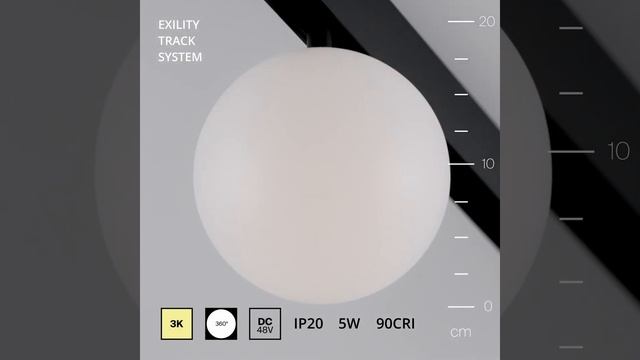Трековый светильник Maytoni Exility TR038-2-5W3K