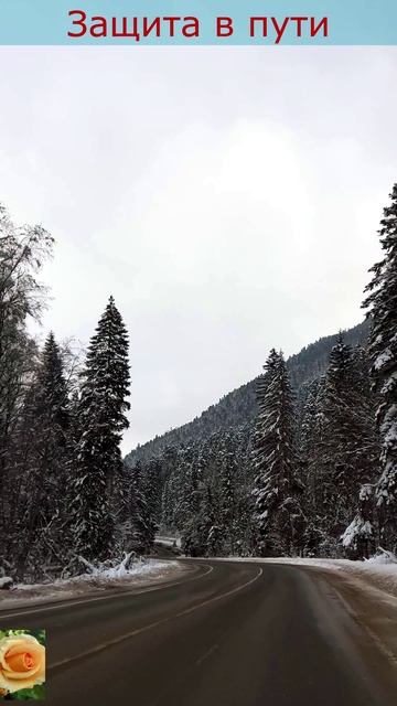 ЗАЩИТА В ПУТИ