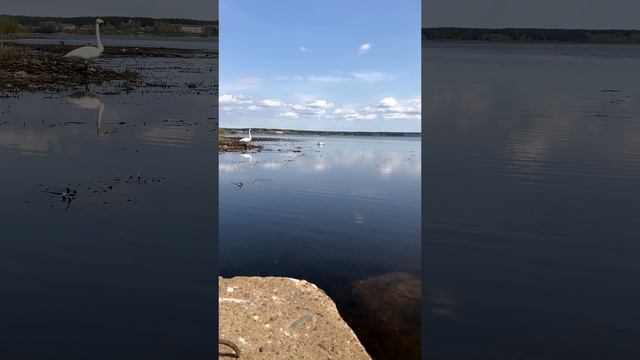Русская земля