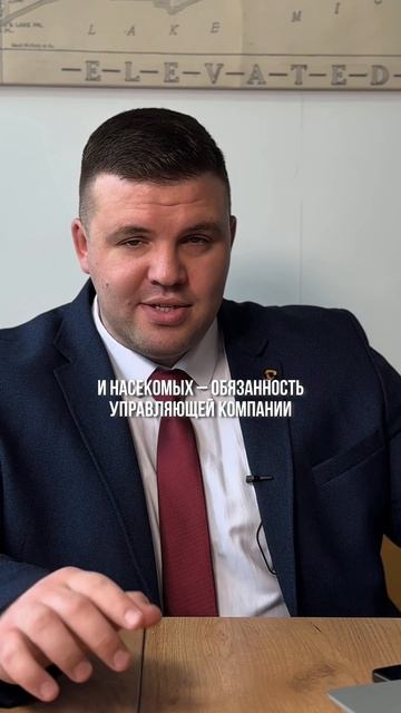 Крысы и тараканы
