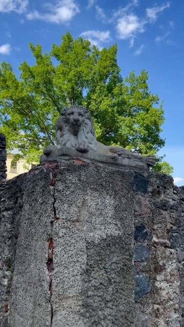 Лев на страже! Хорошего всем дня!! 🦁 Have a good day!!