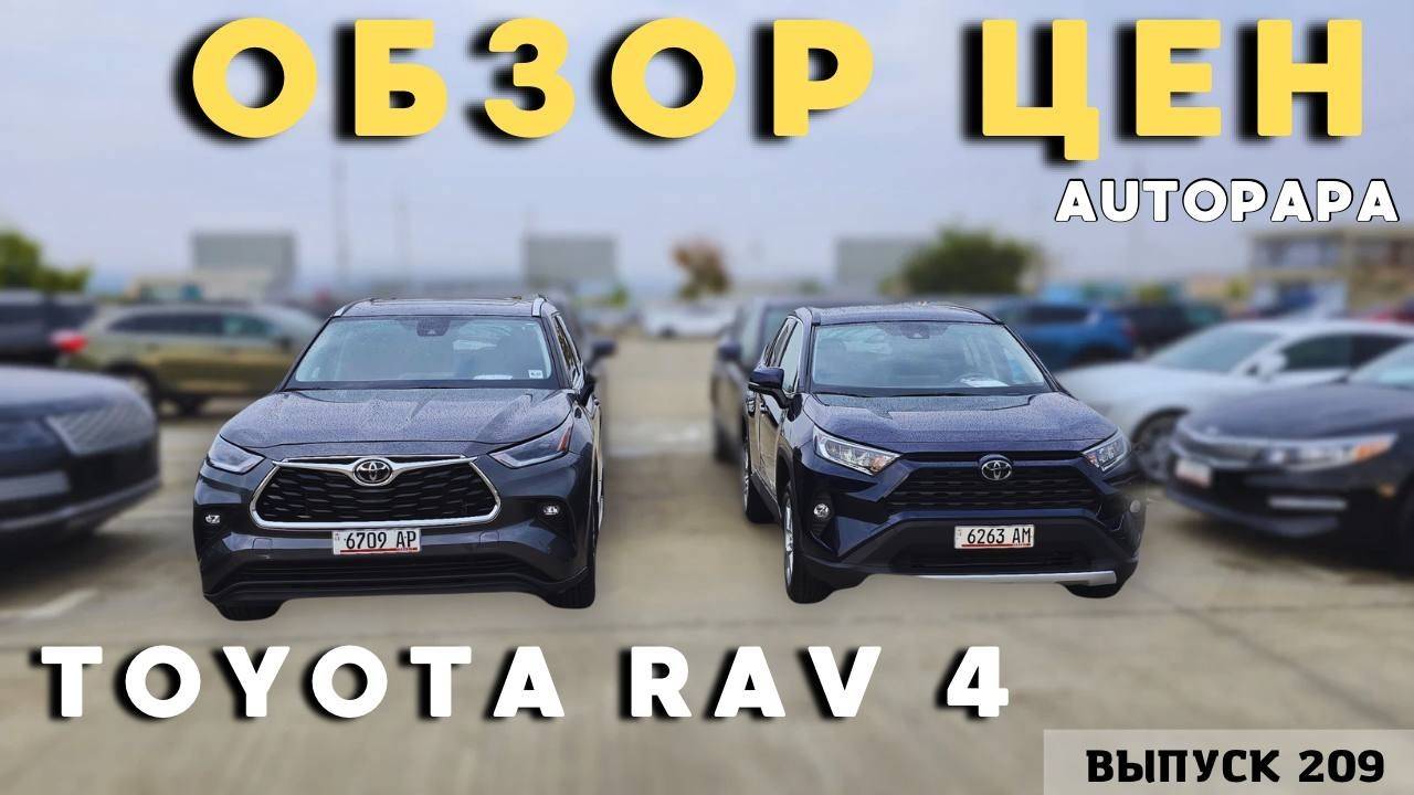 Ищем RAV-4 в Грузии! Обзор актуальных цен Автопапа.