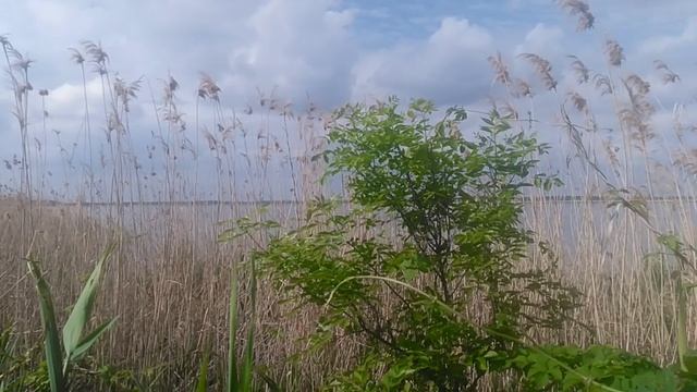 VID_20250511_154203