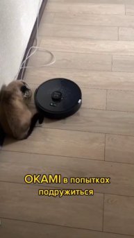 Котик и робот OKAMI