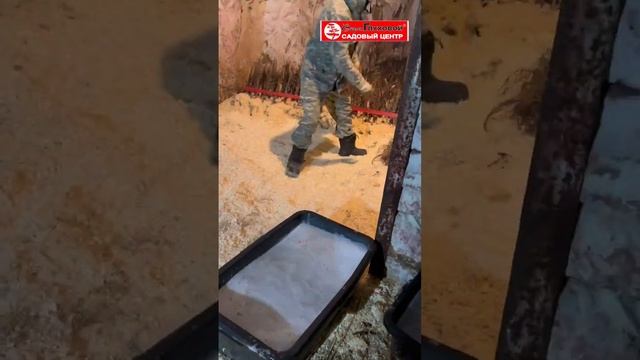 Холодильник поэтапно📽️