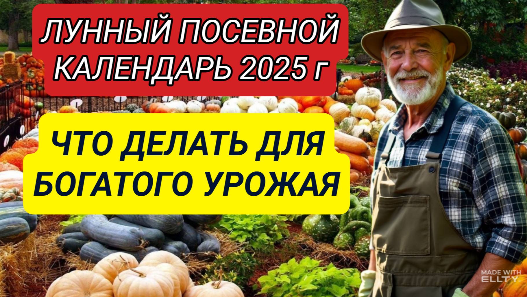 ОНИ ДУМАЛИ, ЧТО Я СУМАСШЕДШИЙ… ПОКА НЕ УВИДЕЛИ МОЙ УРОЖАЙ!
