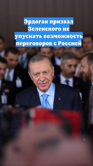 Эрдоган призвал Зеленского не упускать возможность переговоров с Россией