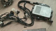 Капризное цифровое зажигание ГАЗелей и Соболей
