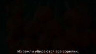 Когда сажать морковь весной