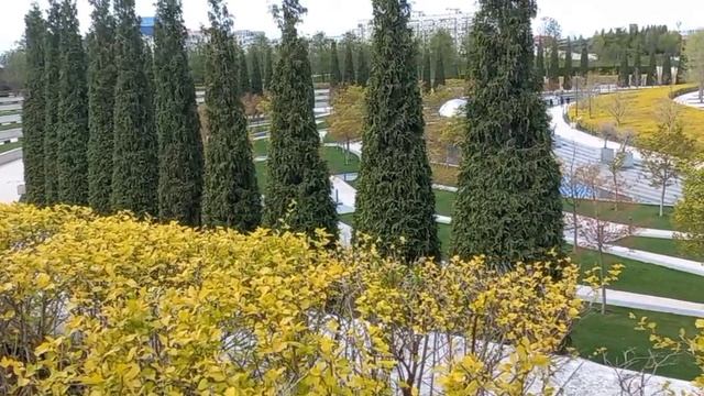 Галицкий С.Н. - парк Краснодара