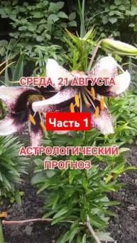 гороскоп на 21 августа по знакам зодиака #астрология #з?
