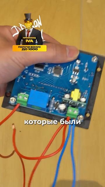 Котики боятся фена.