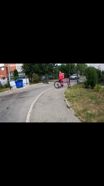 У ворот дома г.Чебоксары || Паслен гибридный, солнечная столица чувашии, город над волгой, ПФО, 21