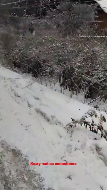 погода в нижнем Новгороде:гололёд