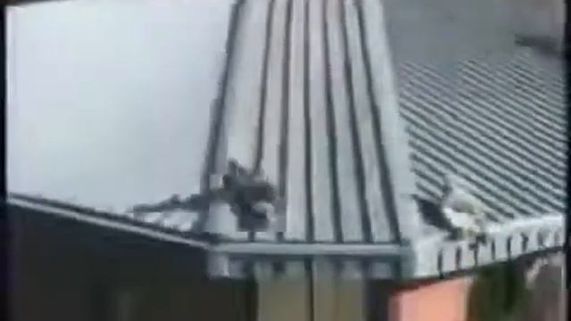 Безумный клоун Юмор! Прикол! Смех