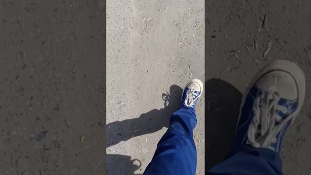 1000022124.mp4