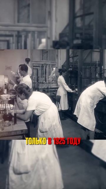 3 интересных факта о компании Bosch  #Bosch #бренд #факты